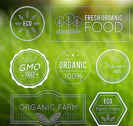 食品安全宣傳欄圖片矢量圖免費(fèi)下載 psd格式 編號(hào)15757002 千圖網(wǎng)